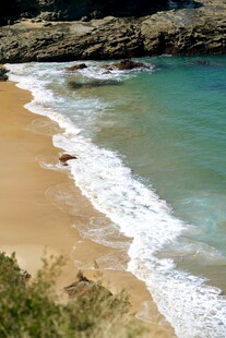 美丽海滨沙滩海浪景观