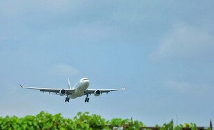飞机低空飞过绿色植被
