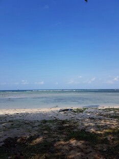 海边