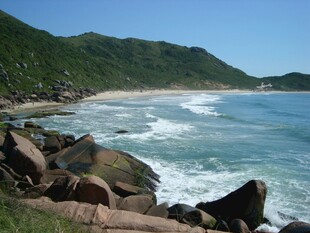 海岸边的礁石与海浪美景