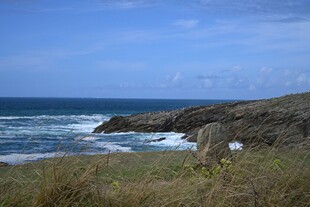 海边岩石与草地风景