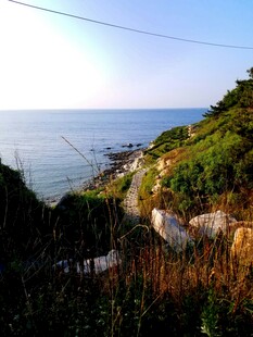海边山坡景致