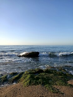 海边礁石与海浪景观