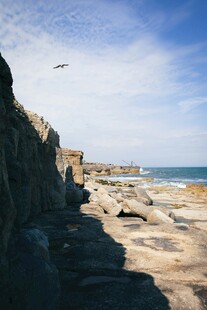 海岸边的岩石与飞翔海鸟