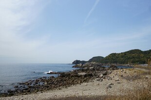海边景致