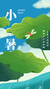 小暑时节的荷塘美景