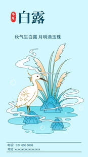 白露节气插画中的白鹭与水草