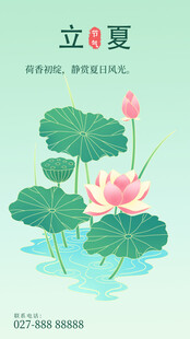 立夏时节的荷花与荷叶