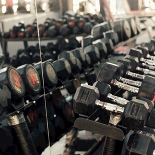 健身房哑铃整齐排列展示