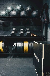 健身房内的健身器材陈列