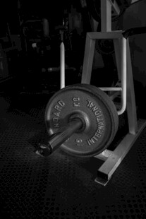 健身房杠铃架上的杠铃