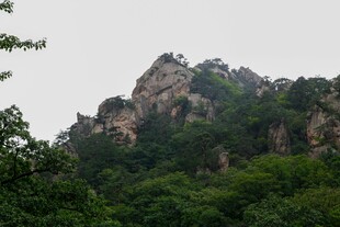 巍峨山峦被葱郁植被环绕