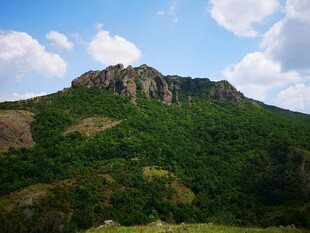 青山之巅