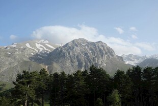 雪山松林美景