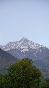 远山绿树美景