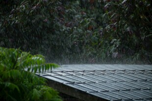 雨中露台