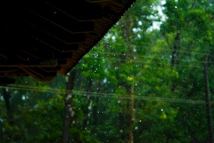 屋檐下望葱郁树林