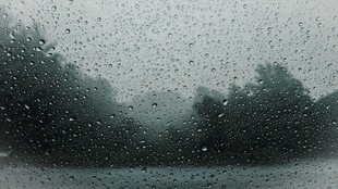 雨中车窗视角的朦胧树林