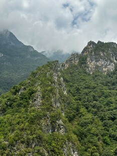 山峦叠翠间的绿意风光