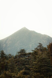 青山葱郁间的秀丽景致