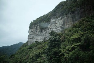 陡峭山壁与繁茂植被