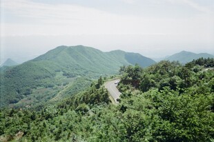 山间绿意盎然的蜿蜒小路