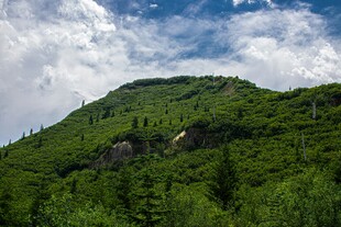 青山葱郁间的自然景致