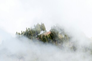 云雾缭绕中的山林美景