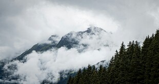 云雾缭绕的山林与山峰