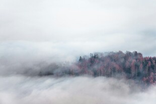 云雾缭绕中的山林美景