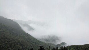 山间云雾缭绕的朦胧景致