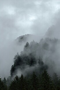 云雾缭绕的山林美景