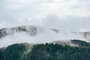 云雾缭绕的山林美景