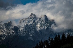巍峨雪山与葱郁林木景观