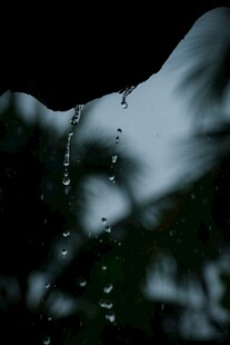 雨滴滑落的朦胧瞬间