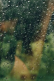 雨中窗景