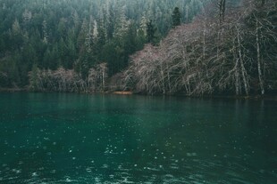静谧山林中的碧绿湖水