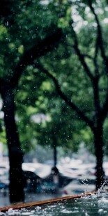 雨