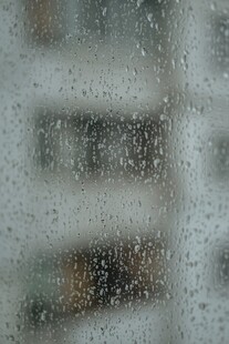 雨幕中的窗外景象