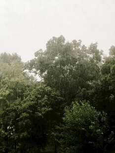雨天