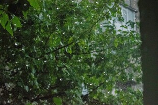 雨景