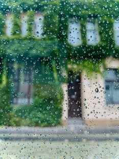 雨中风景