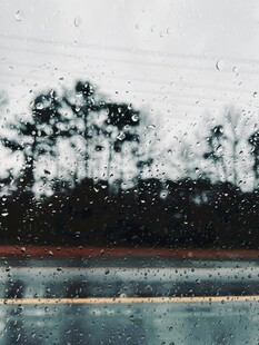 雨中朦胧的树木与水面