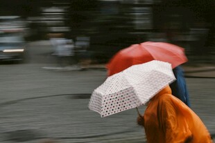 雨中行人撑伞漫步街头