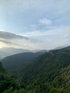 山峦叠翠间的绿意风光