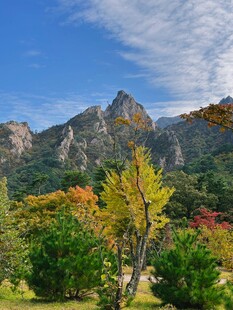 秋日山间多彩景致