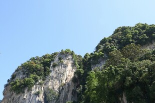 峻峭山峰覆绿植