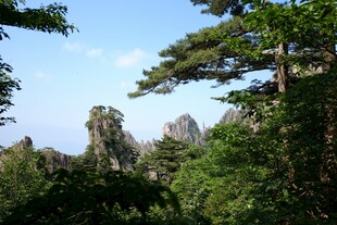 奇峰林立的山林美景