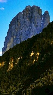 巍峨山峰与葱郁山林