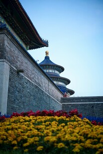 天坛前的缤纷花卉景观